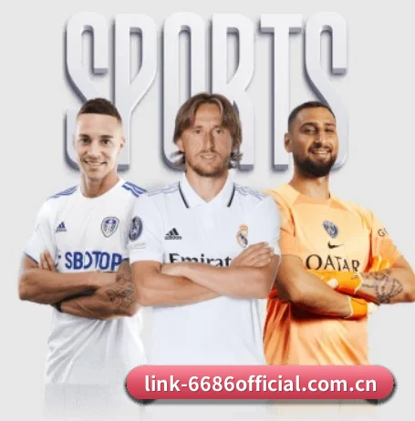 6686体育 APP